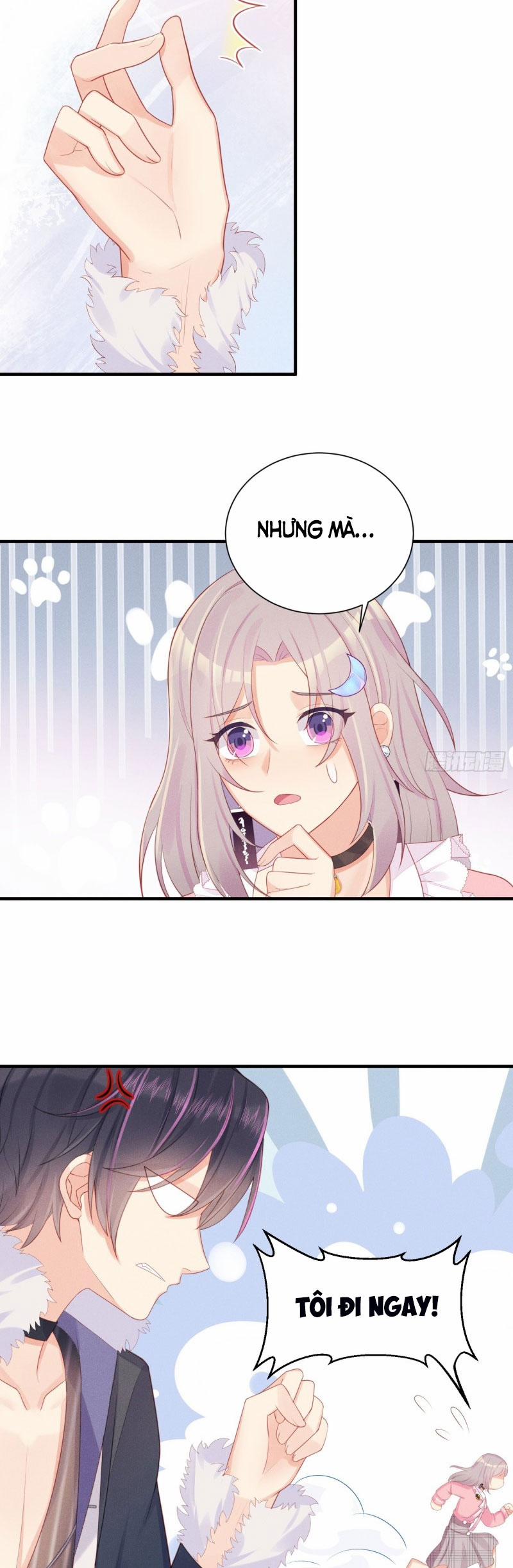 Tiểu Cá Koi Độc Quyền Của Ông Trùm Đỉnh Lưu 14 trang 15