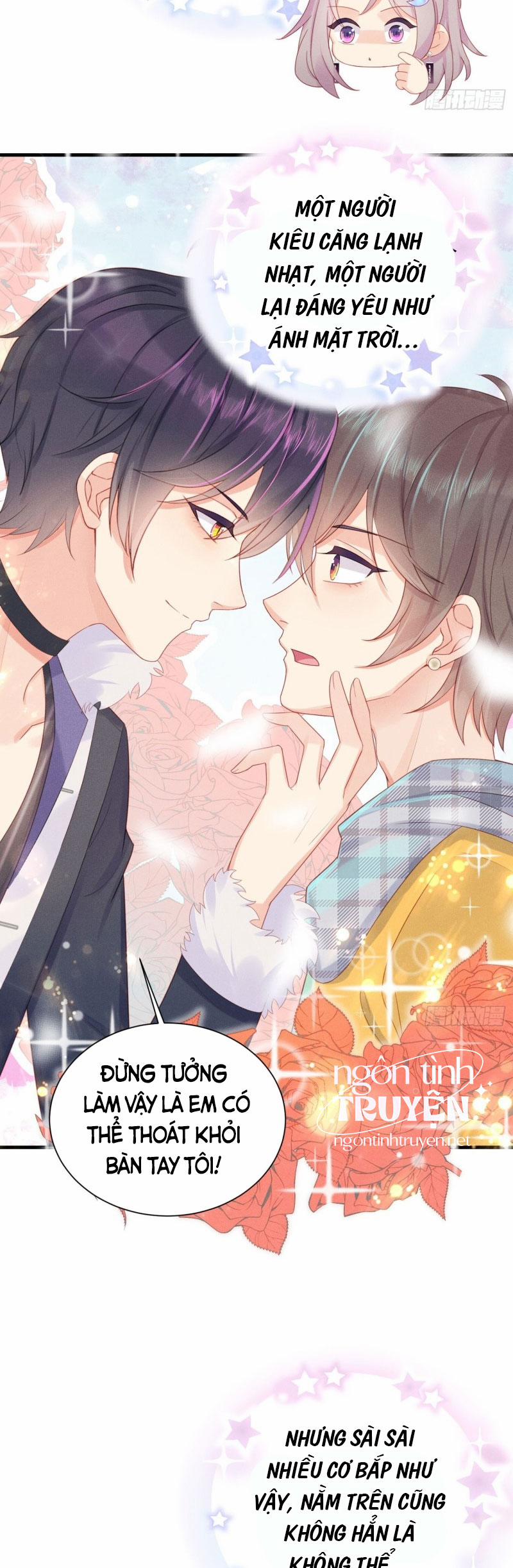 Tiểu Cá Koi Độc Quyền Của Ông Trùm Đỉnh Lưu 14 trang 4