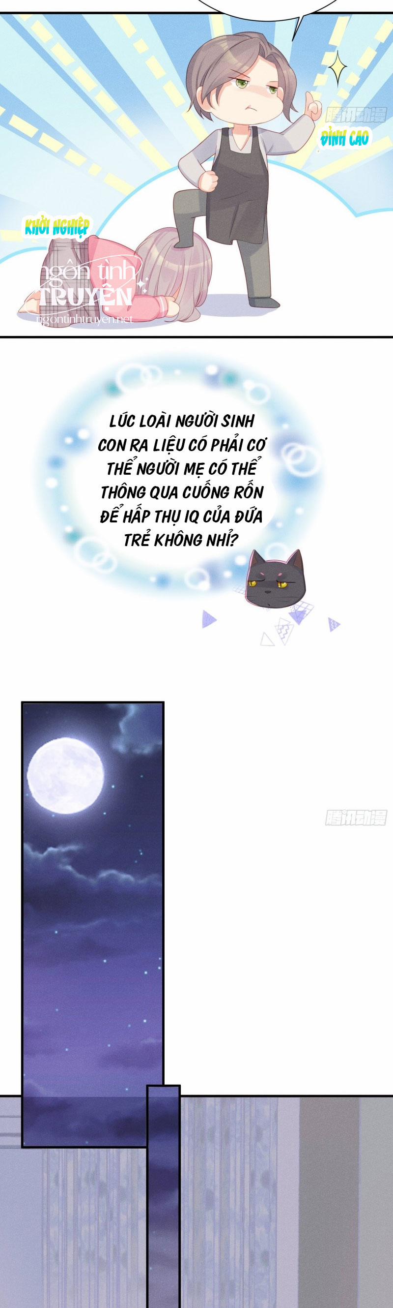 Tiểu Cá Koi Độc Quyền Của Ông Trùm Đỉnh Lưu 15 trang 12