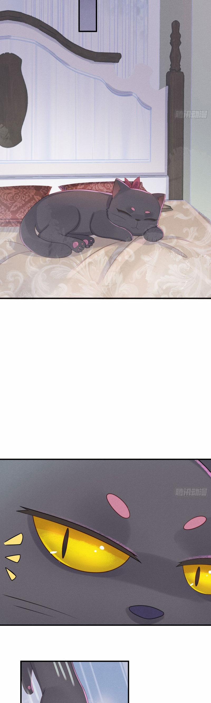 Tiểu Cá Koi Độc Quyền Của Ông Trùm Đỉnh Lưu 15 trang 13