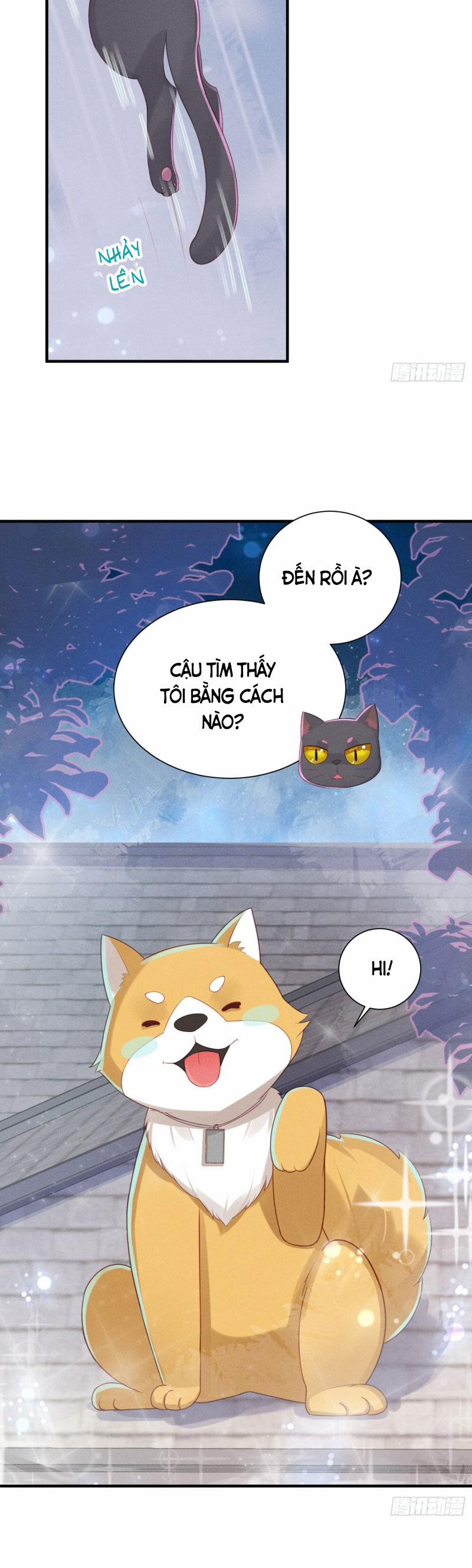 Tiểu Cá Koi Độc Quyền Của Ông Trùm Đỉnh Lưu 15 trang 14