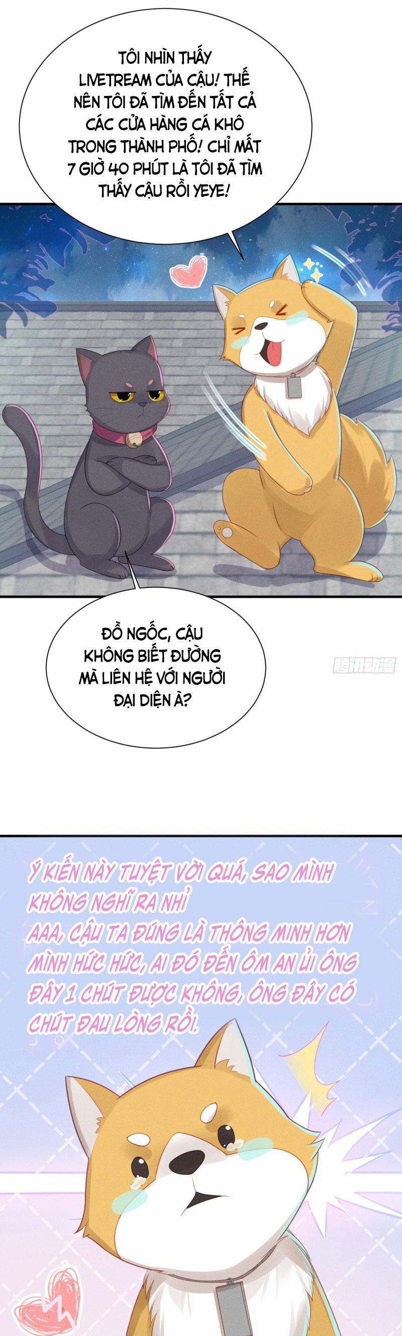 Tiểu Cá Koi Độc Quyền Của Ông Trùm Đỉnh Lưu 15 trang 15