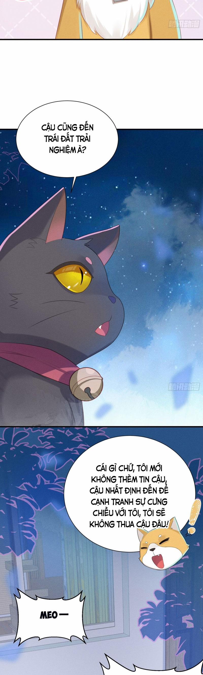 Tiểu Cá Koi Độc Quyền Của Ông Trùm Đỉnh Lưu 15 trang 16