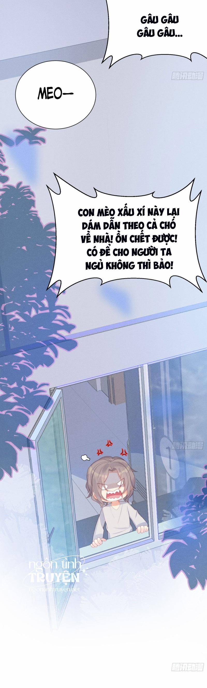 Tiểu Cá Koi Độc Quyền Của Ông Trùm Đỉnh Lưu 15 trang 17