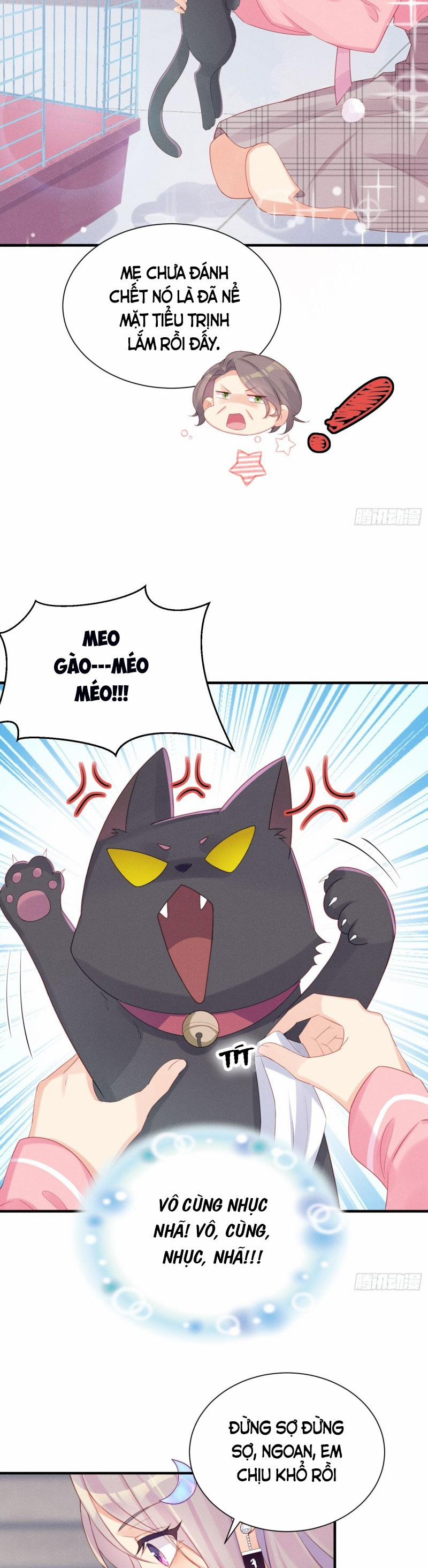 Tiểu Cá Koi Độc Quyền Của Ông Trùm Đỉnh Lưu 9 trang 7