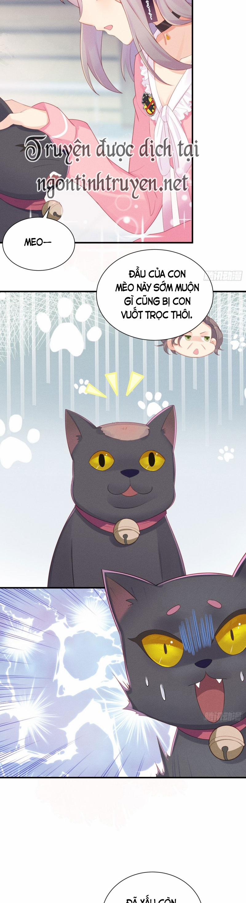 Tiểu Cá Koi Độc Quyền Của Ông Trùm Đỉnh Lưu 9 trang 8