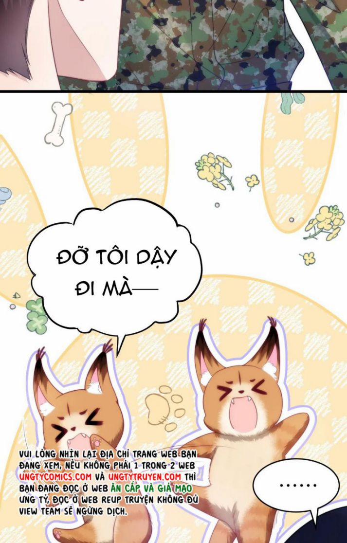 Tiểu Dã Miêu Của Học Bá Thật Trêu Người 12 trang 8