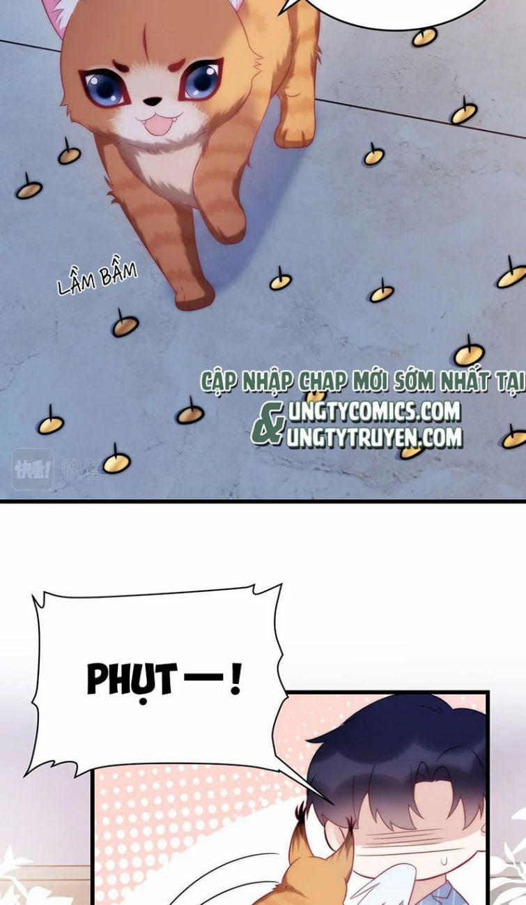 Tiểu Dã Miêu Của Học Bá Thật Trêu Người 16 trang 16