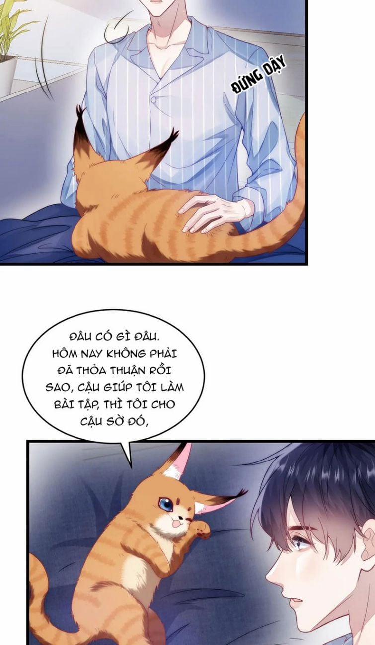 Tiểu Dã Miêu Của Học Bá Thật Trêu Người 16 trang 19