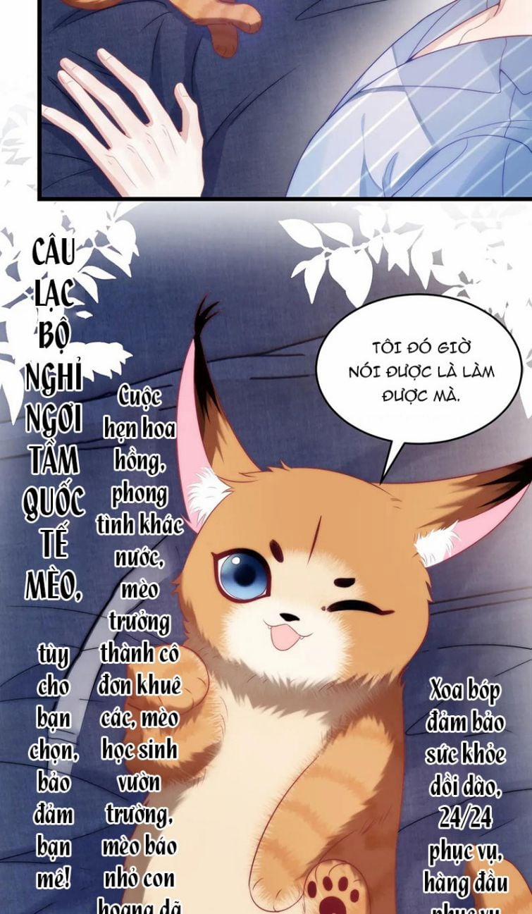 Tiểu Dã Miêu Của Học Bá Thật Trêu Người 16 trang 20