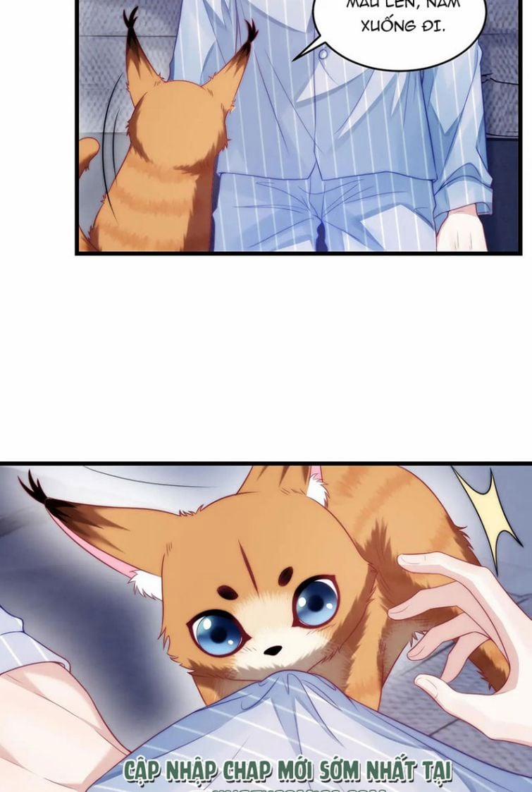 Tiểu Dã Miêu Của Học Bá Thật Trêu Người 16 trang 34