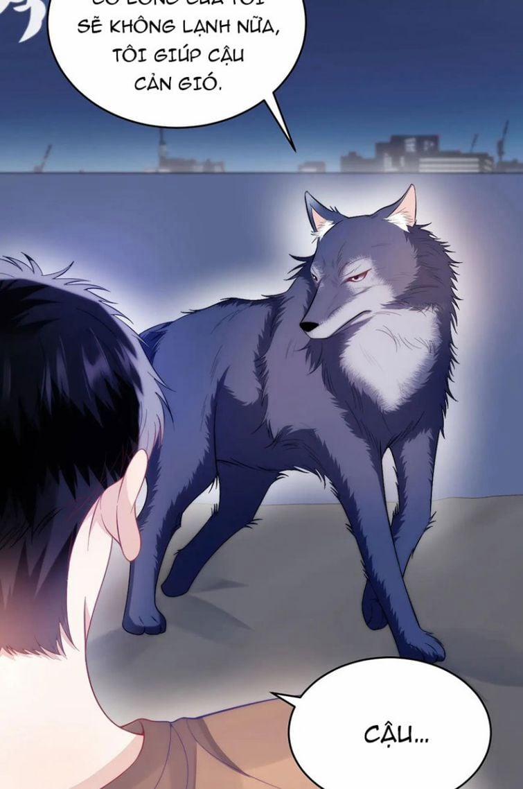 Tiểu Dã Miêu Của Học Bá Thật Trêu Người 18 trang 3