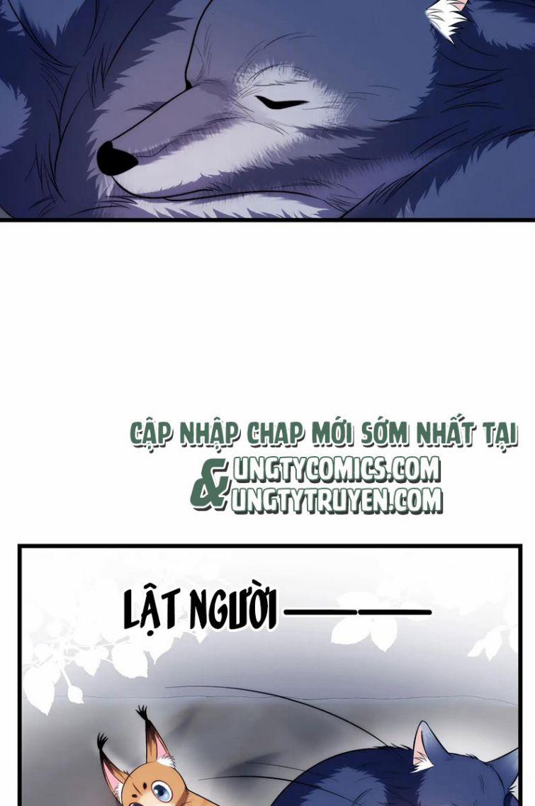 Tiểu Dã Miêu Của Học Bá Thật Trêu Người 19 trang 12