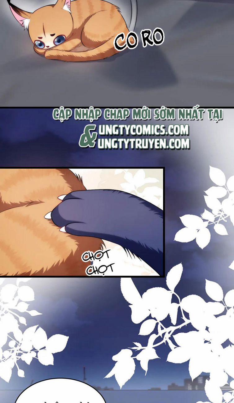 Tiểu Dã Miêu Của Học Bá Thật Trêu Người 19 trang 15