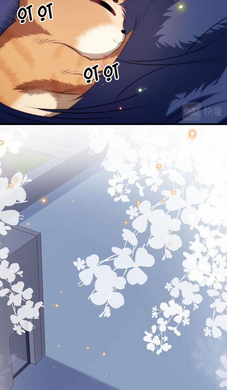 Tiểu Dã Miêu Của Học Bá Thật Trêu Người 19 trang 17