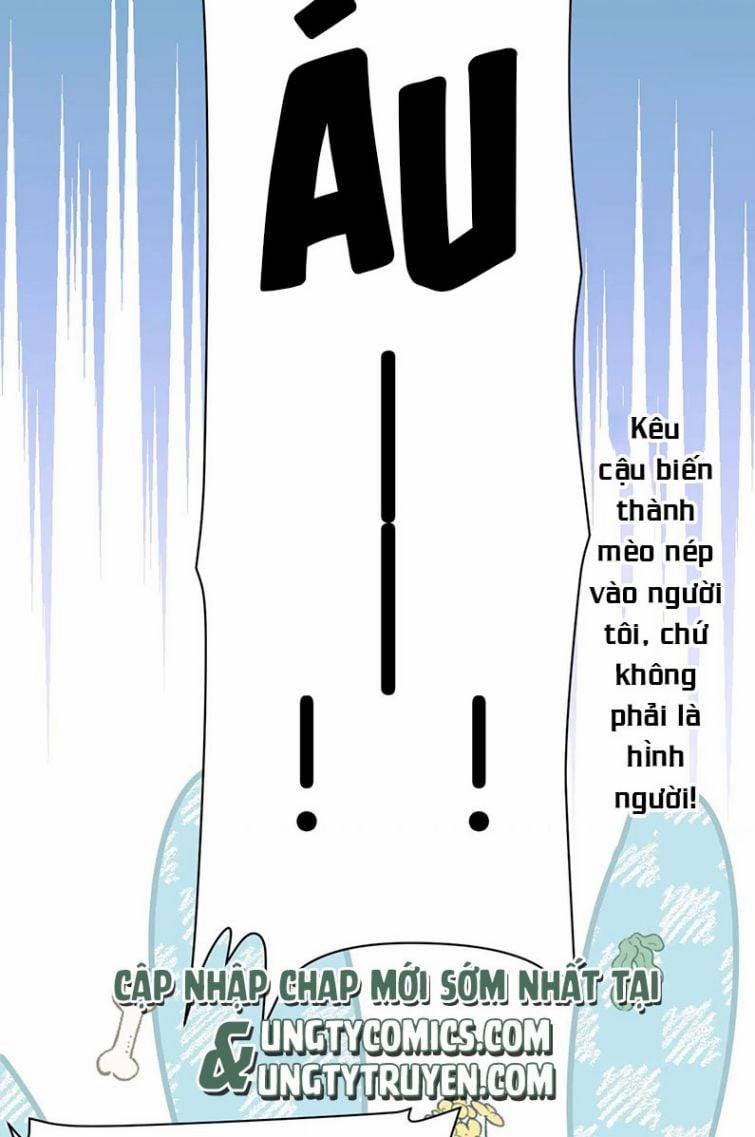 Tiểu Dã Miêu Của Học Bá Thật Trêu Người 19 trang 7