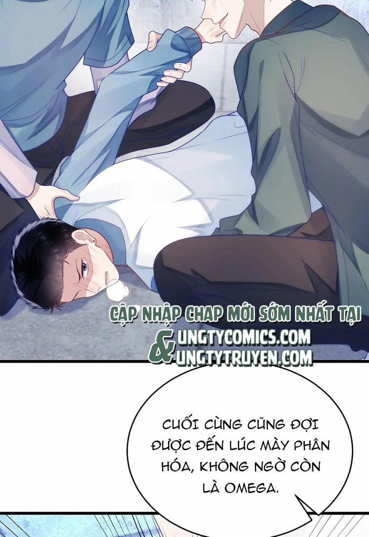 Tiểu Dã Miêu Của Học Bá Thật Trêu Người 23 trang 6