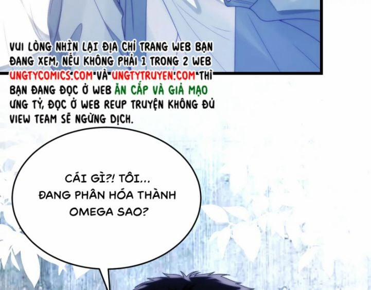 Tiểu Dã Miêu Của Học Bá Thật Trêu Người 24 trang 12