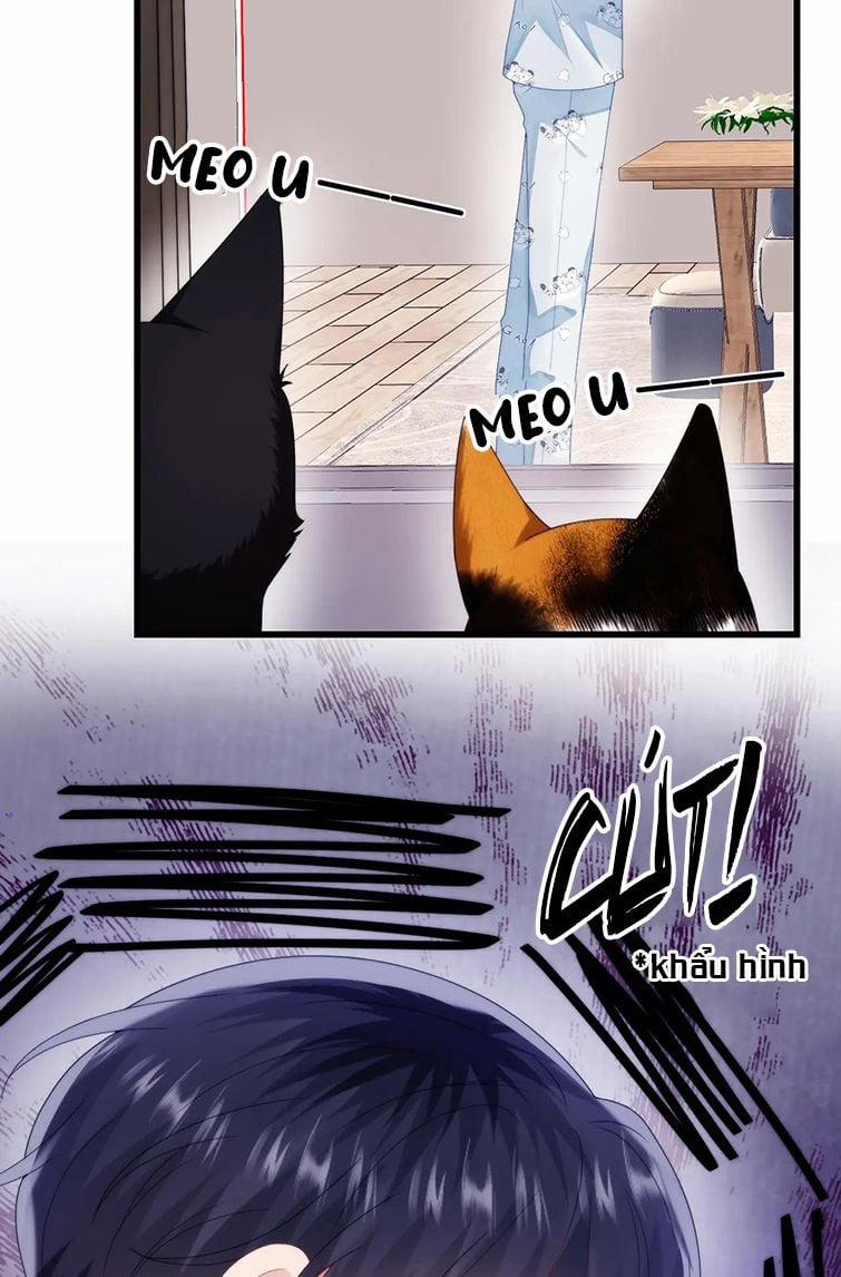 Tiểu Dã Miêu Của Học Bá Thật Trêu Người 28 trang 36