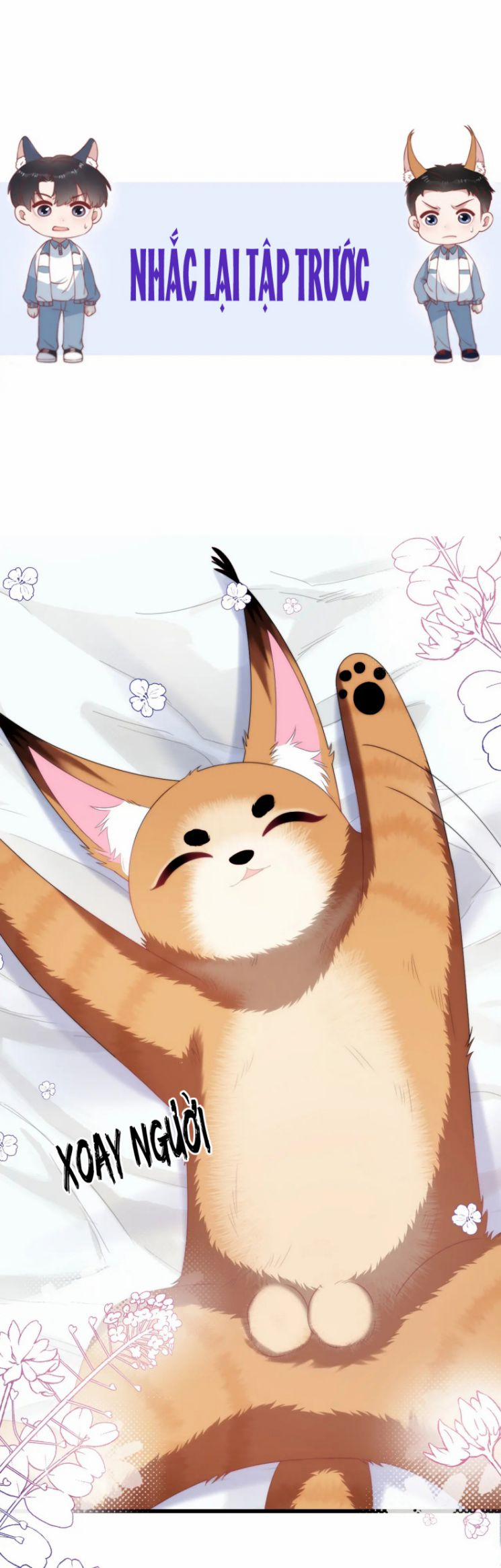 Tiểu Dã Miêu Của Học Bá Thật Trêu Người 29 trang 1