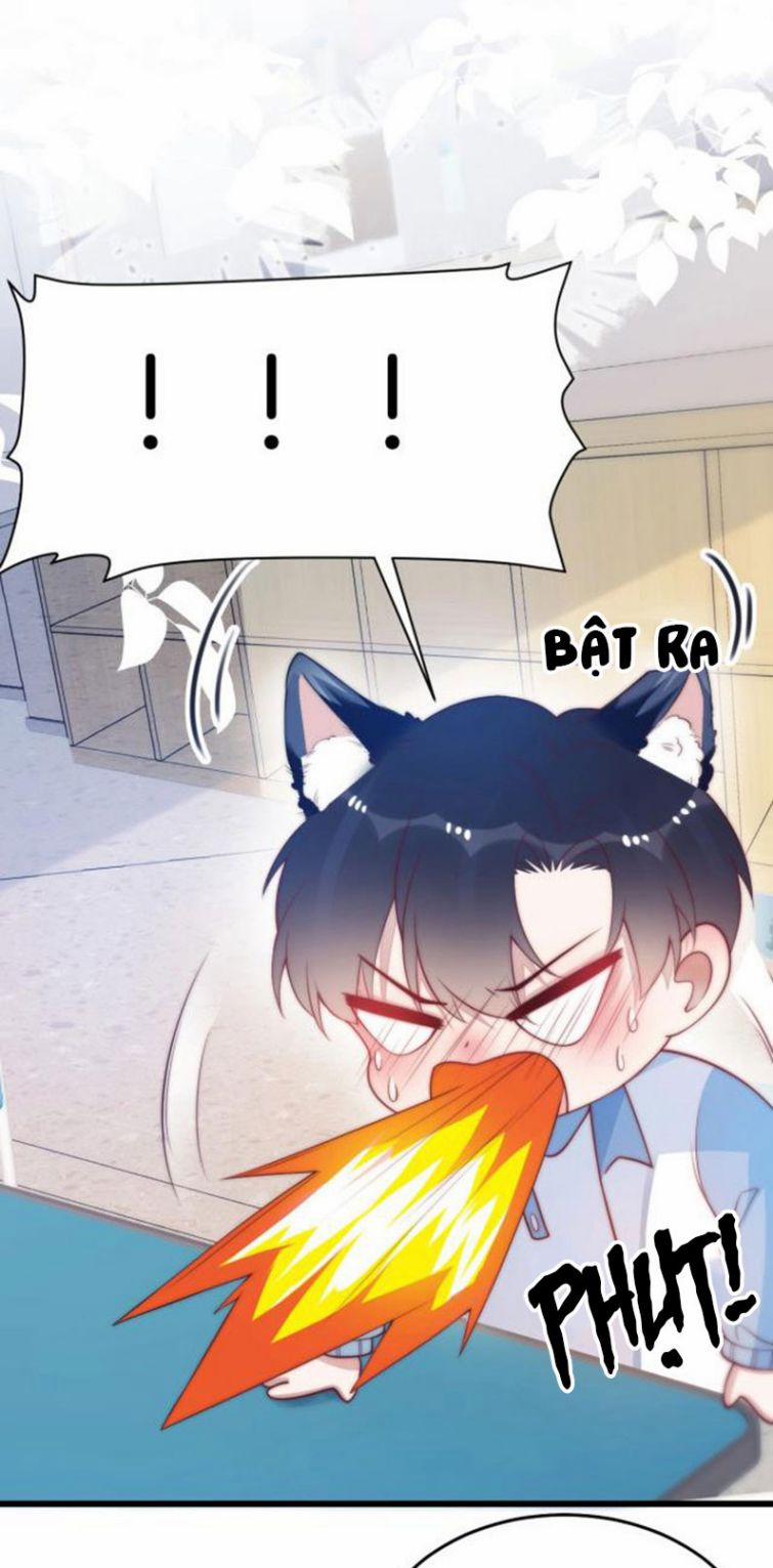 Tiểu Dã Miêu Của Học Bá Thật Trêu Người 4 trang 22