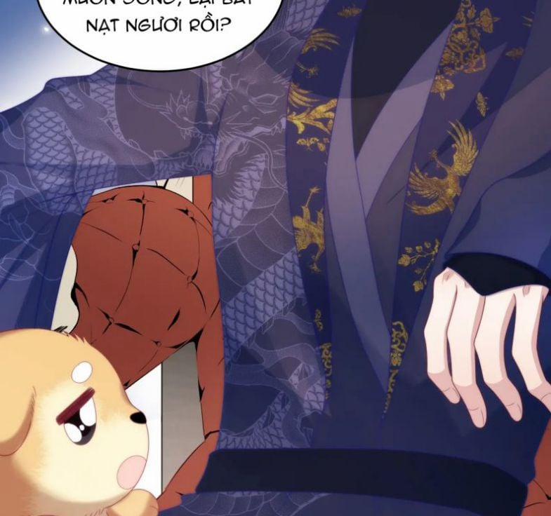 Tiểu Dã Miêu Của Học Bá Thật Trêu Người 47 trang 11