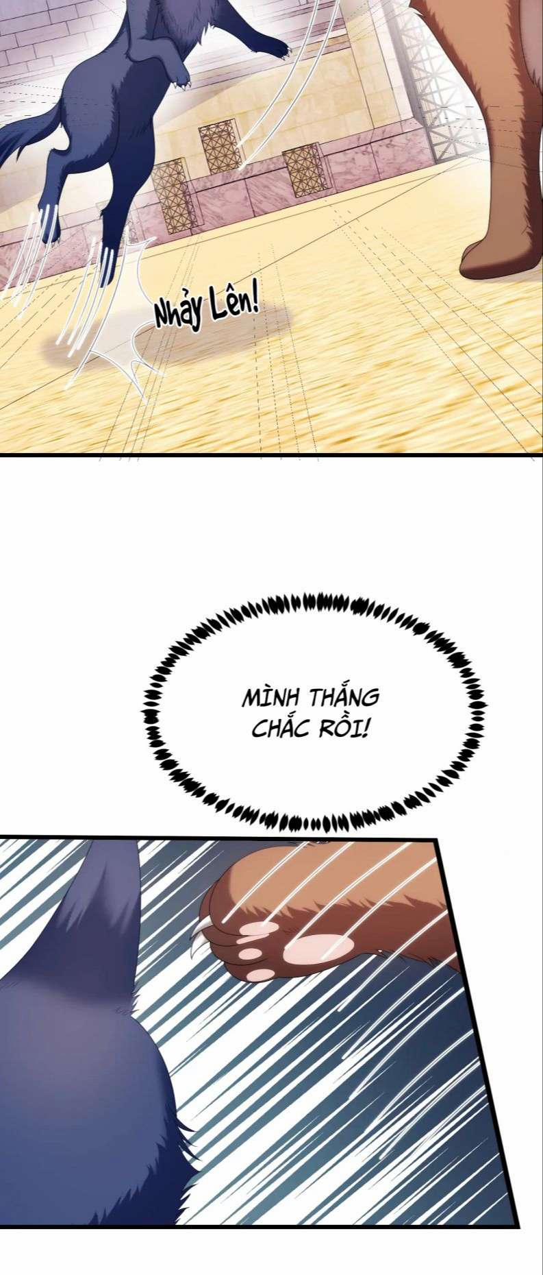 Tiểu Dã Miêu Của Học Bá Thật Trêu Người 50 trang 23