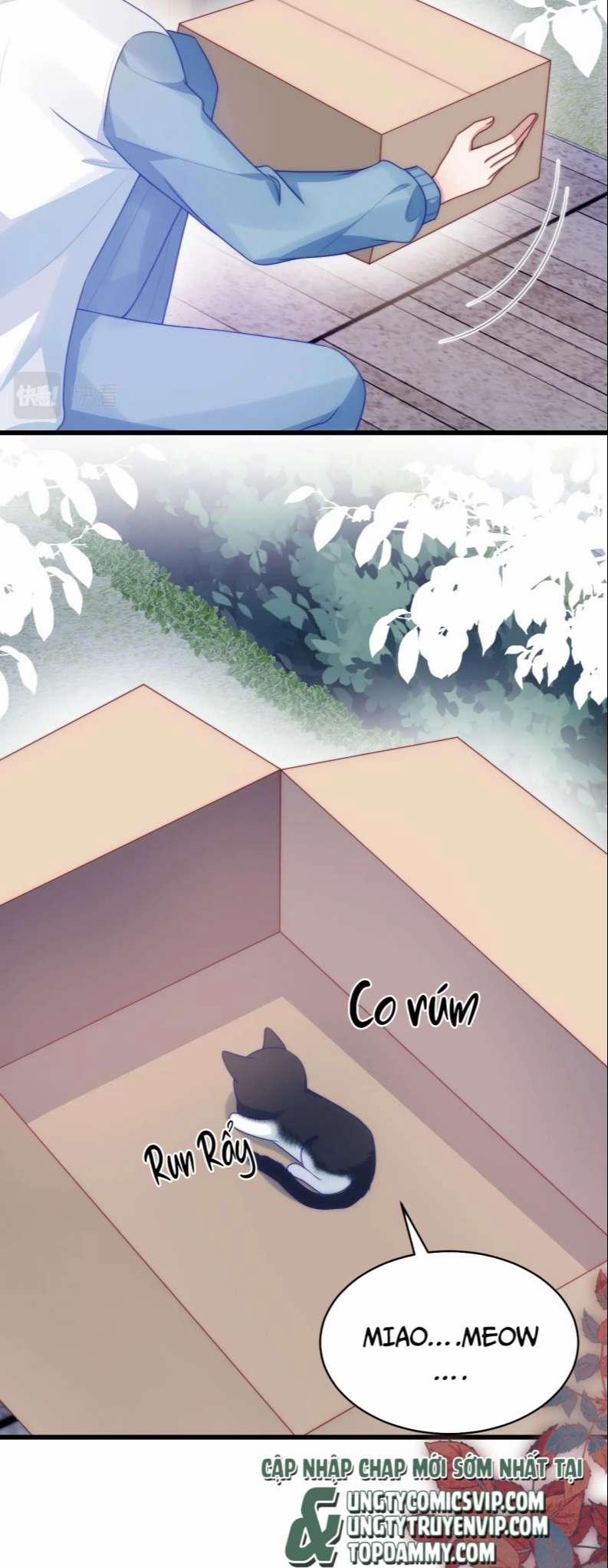 Tiểu Dã Miêu Của Học Bá Thật Trêu Người 68 trang 16