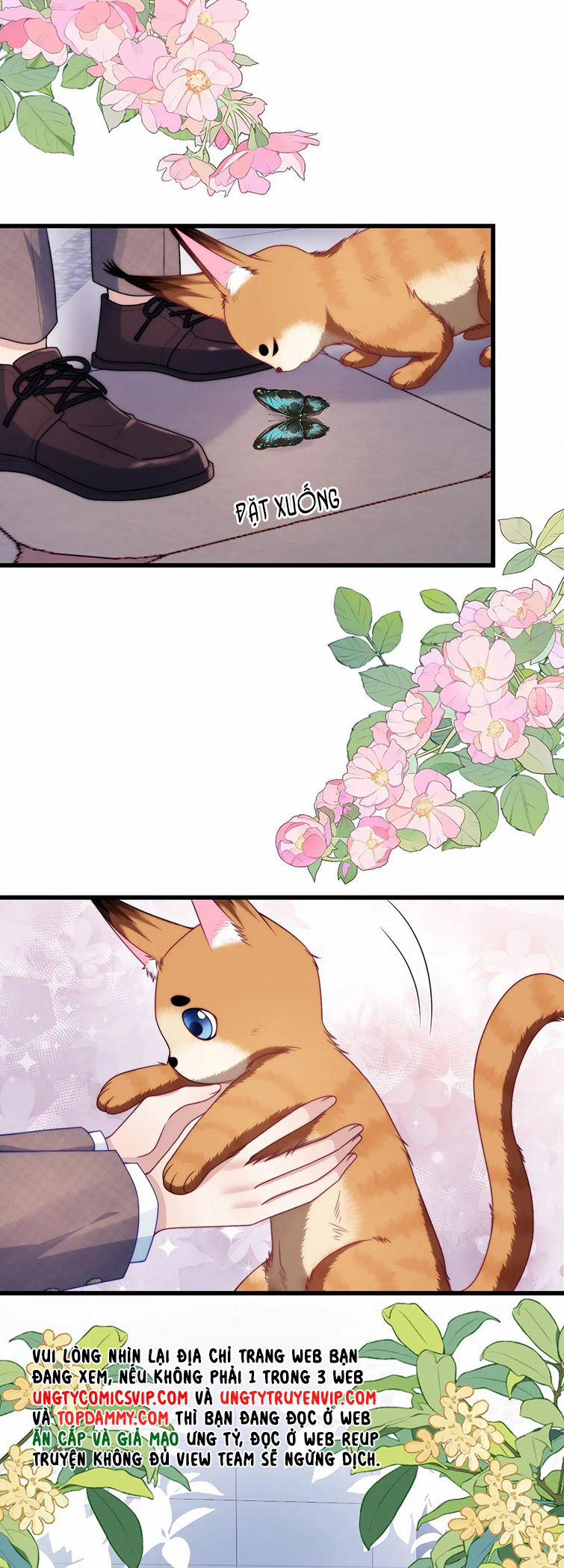 Tiểu Dã Miêu Của Học Bá Thật Trêu Người 80 trang 14