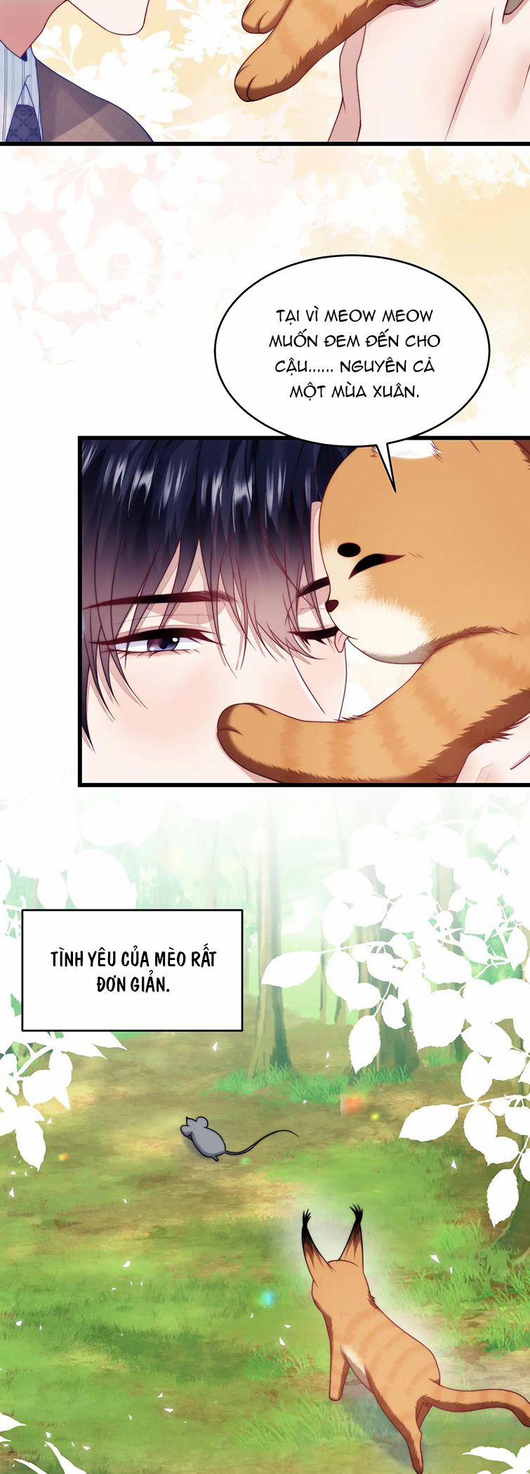 Tiểu Dã Miêu Của Học Bá Thật Trêu Người 80 trang 16