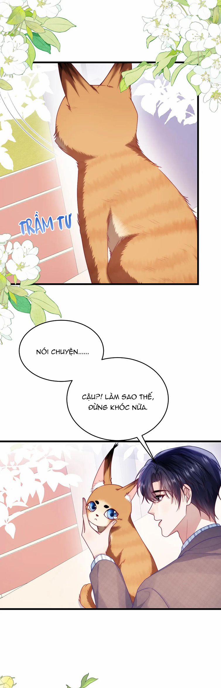 Tiểu Dã Miêu Của Học Bá Thật Trêu Người 80 trang 6