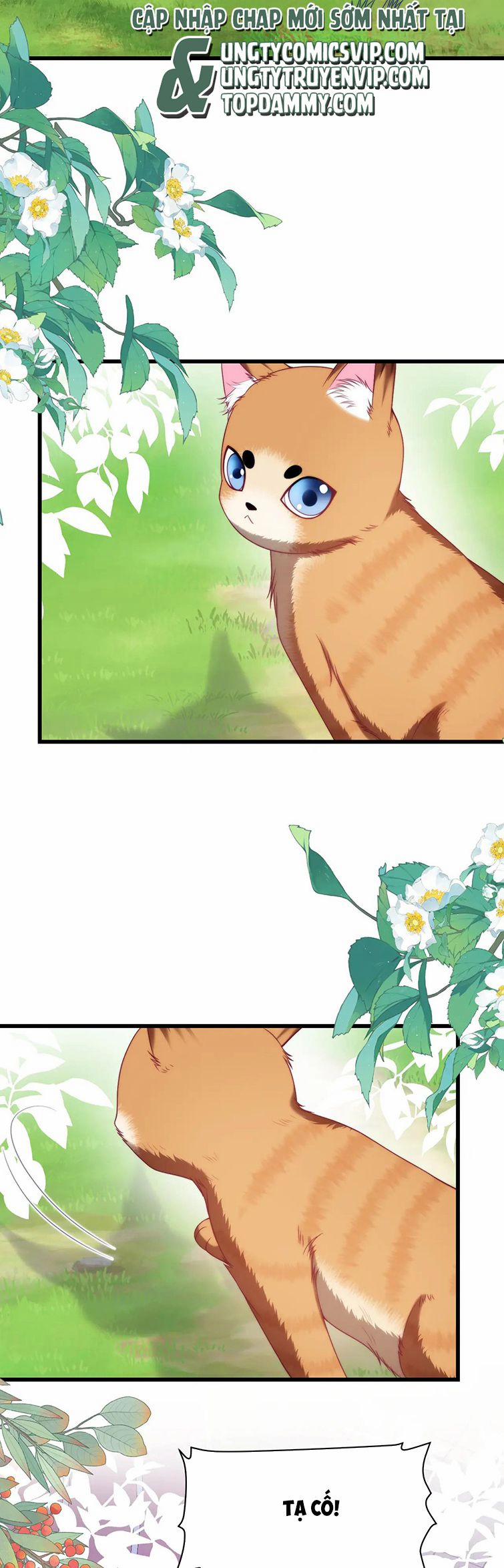 Tiểu Dã Miêu Của Học Bá Thật Trêu Người 80 trang 9