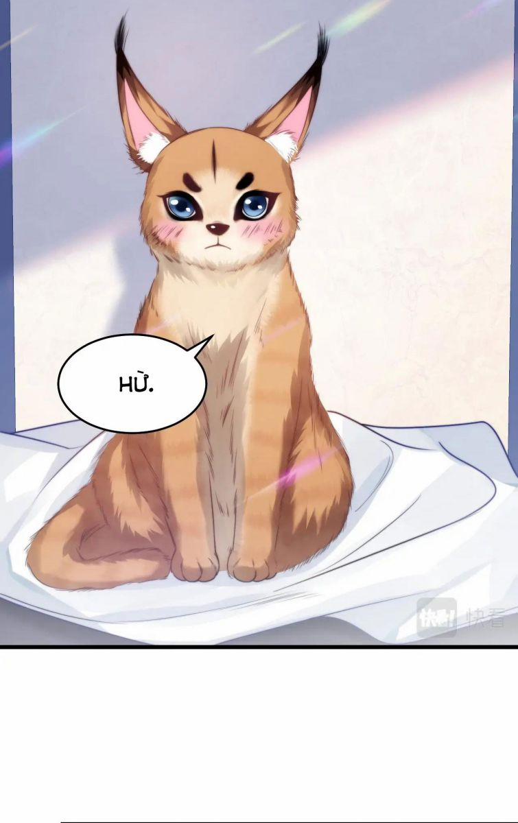 Tiểu Dã Miêu Của Học Bá Thật Trêu Người 9 trang 10