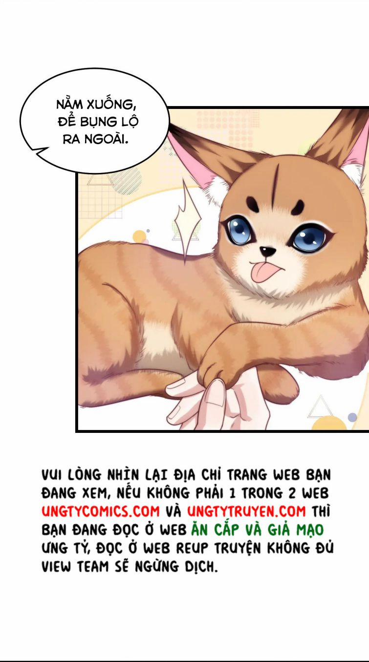 Tiểu Dã Miêu Của Học Bá Thật Trêu Người 9 trang 15