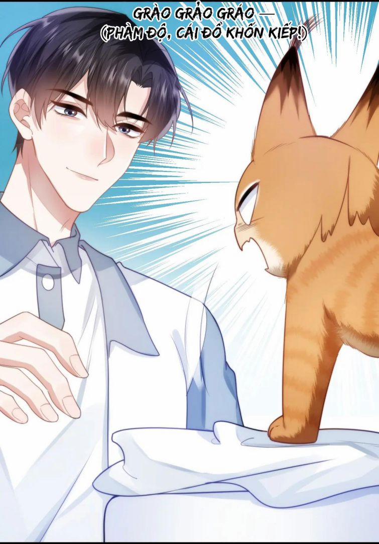 Tiểu Dã Miêu Của Học Bá Thật Trêu Người 9 trang 16