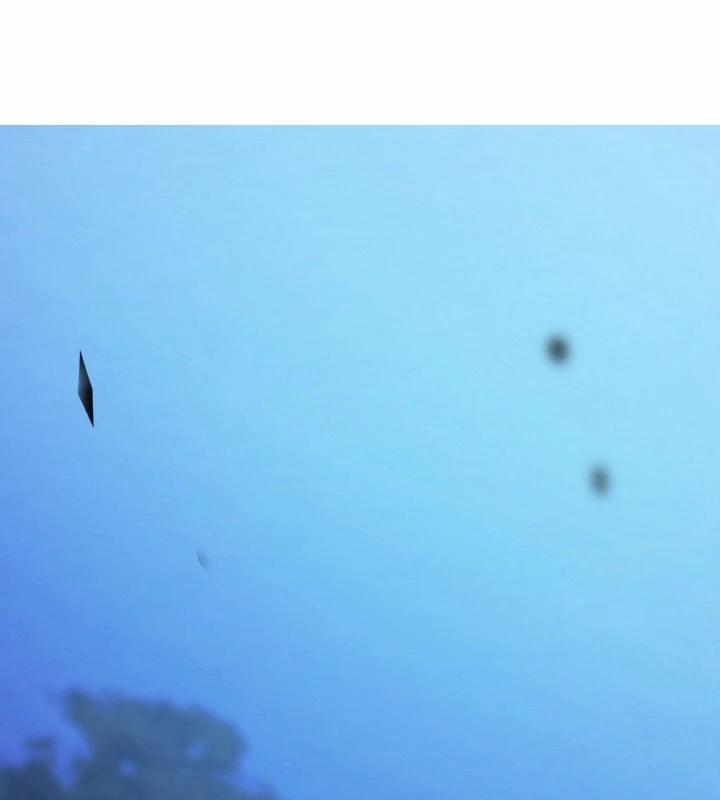 Tiểu Đệ Tử Của Võ Lâm Minh Chủ 1 trang 230