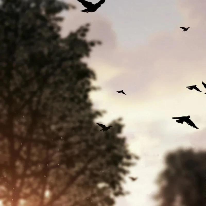 Tiểu Đệ Tử Của Võ Lâm Minh Chủ 2 trang 2