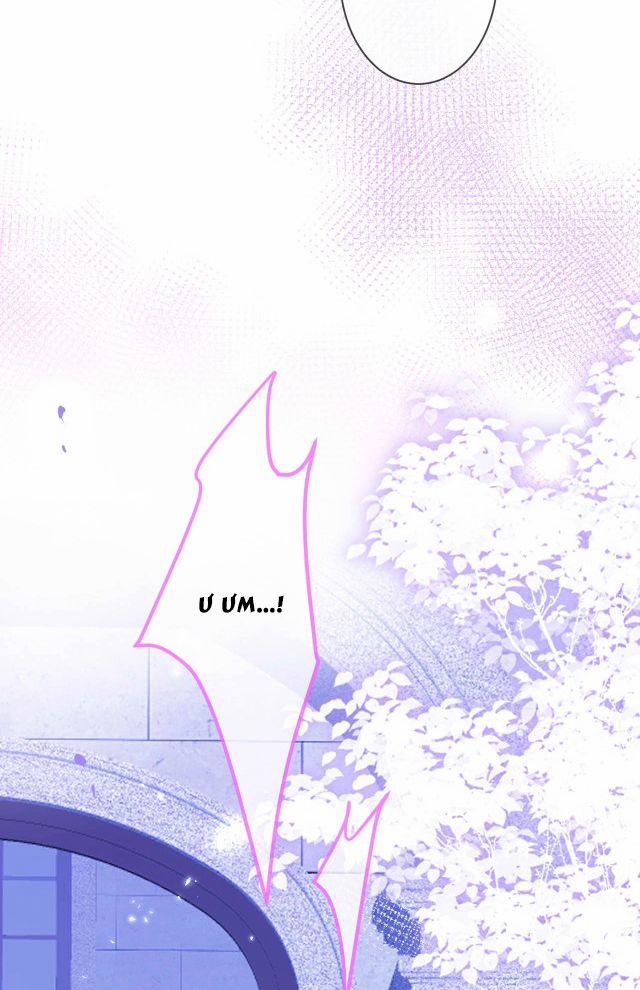 Tiểu Lang Cẩu Của Ảnh Đế Gia 1 trang 11