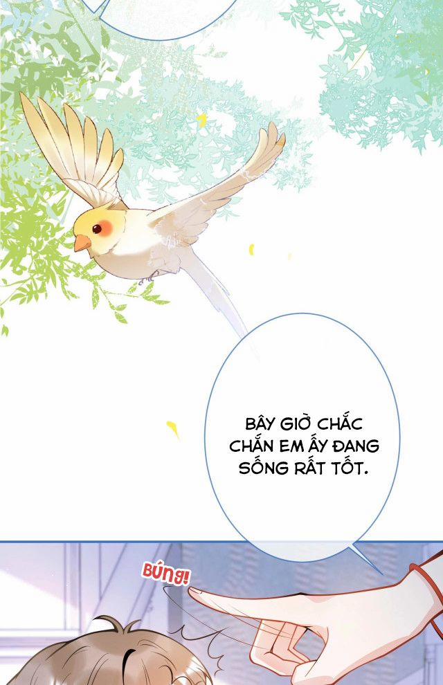 Tiểu Lang Cẩu Của Ảnh Đế Gia 1 trang 40