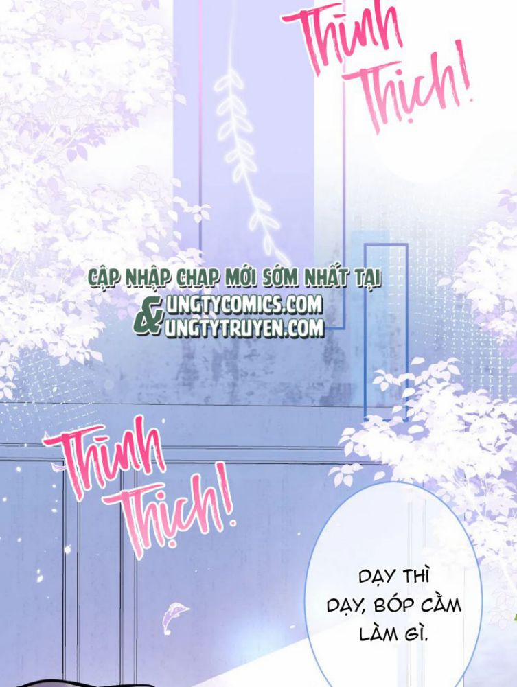 Tiểu Lang Cẩu Của Ảnh Đế Gia 11 trang 2