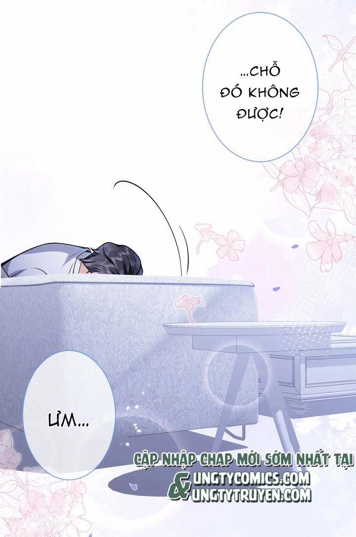 Tiểu Lang Cẩu Của Ảnh Đế Gia 31 trang 10