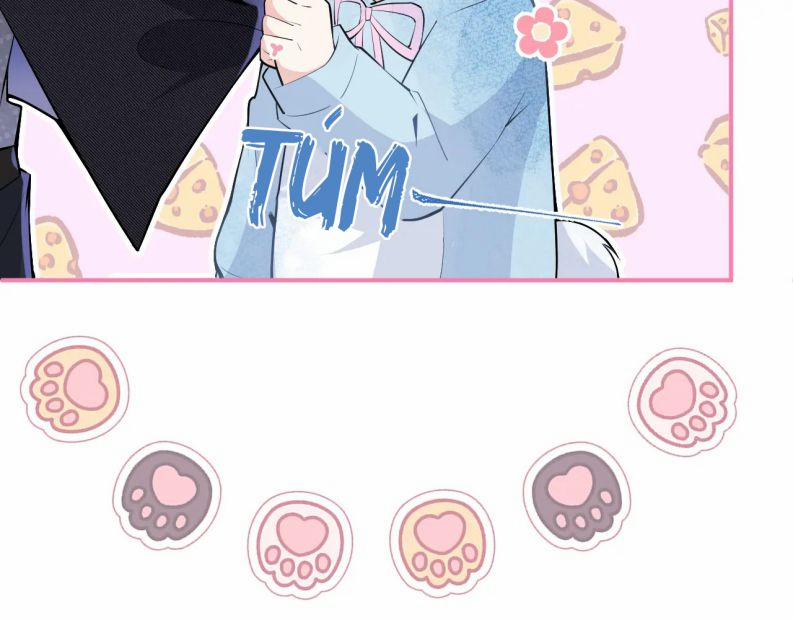 Tiểu Lang Cẩu Của Ảnh Đế Gia 33 trang 8