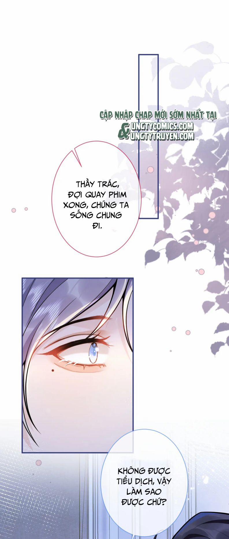 Tiểu Lang Cẩu Của Ảnh Đế Gia 35 trang 2