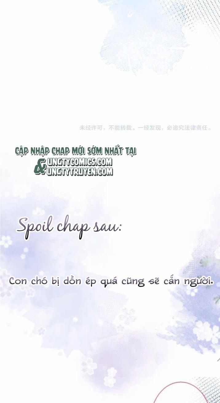 Tiểu Lang Cẩu Của Ảnh Đế Gia 8 trang 32