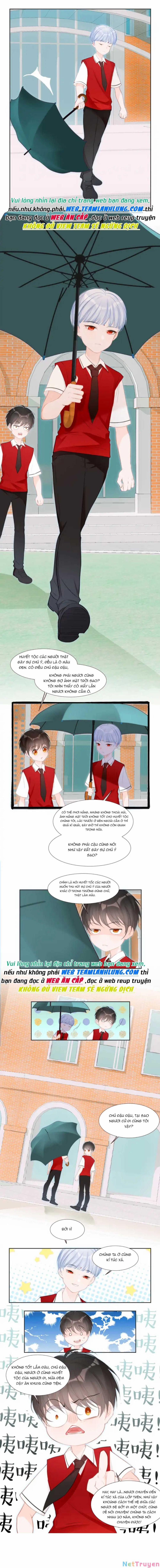 Tiểu Ma Vương Học Cách Yêu Đương 11 trang 4