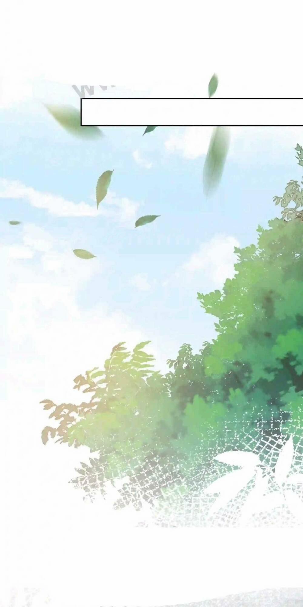 Tiểu Manh Bảo Bốn Tuổi Theo Sư Phụ Xuống Núi 2 trang 9