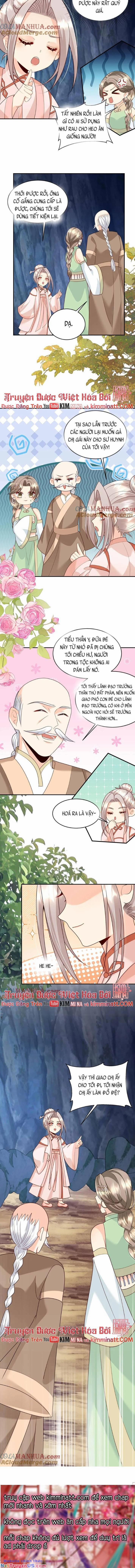 Tiểu Manh Bảo Bốn Tuổi Theo Sư Phụ Xuống Núi 217 trang 2