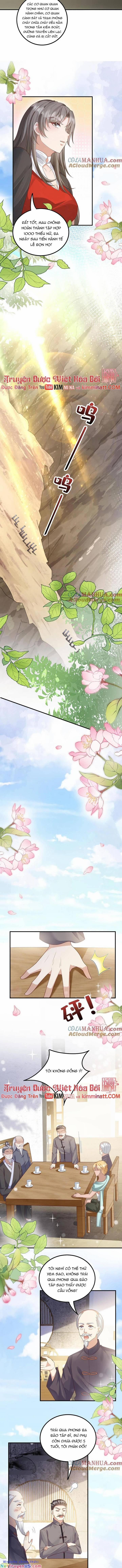 Tiểu Manh Bảo Bốn Tuổi Theo Sư Phụ Xuống Núi 228 trang 1