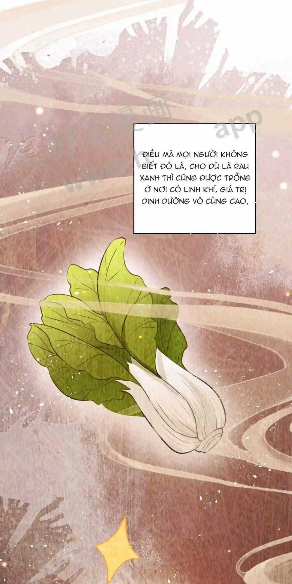 Tiểu Manh Bảo Bốn Tuổi Theo Sư Phụ Xuống Núi 6 trang 12