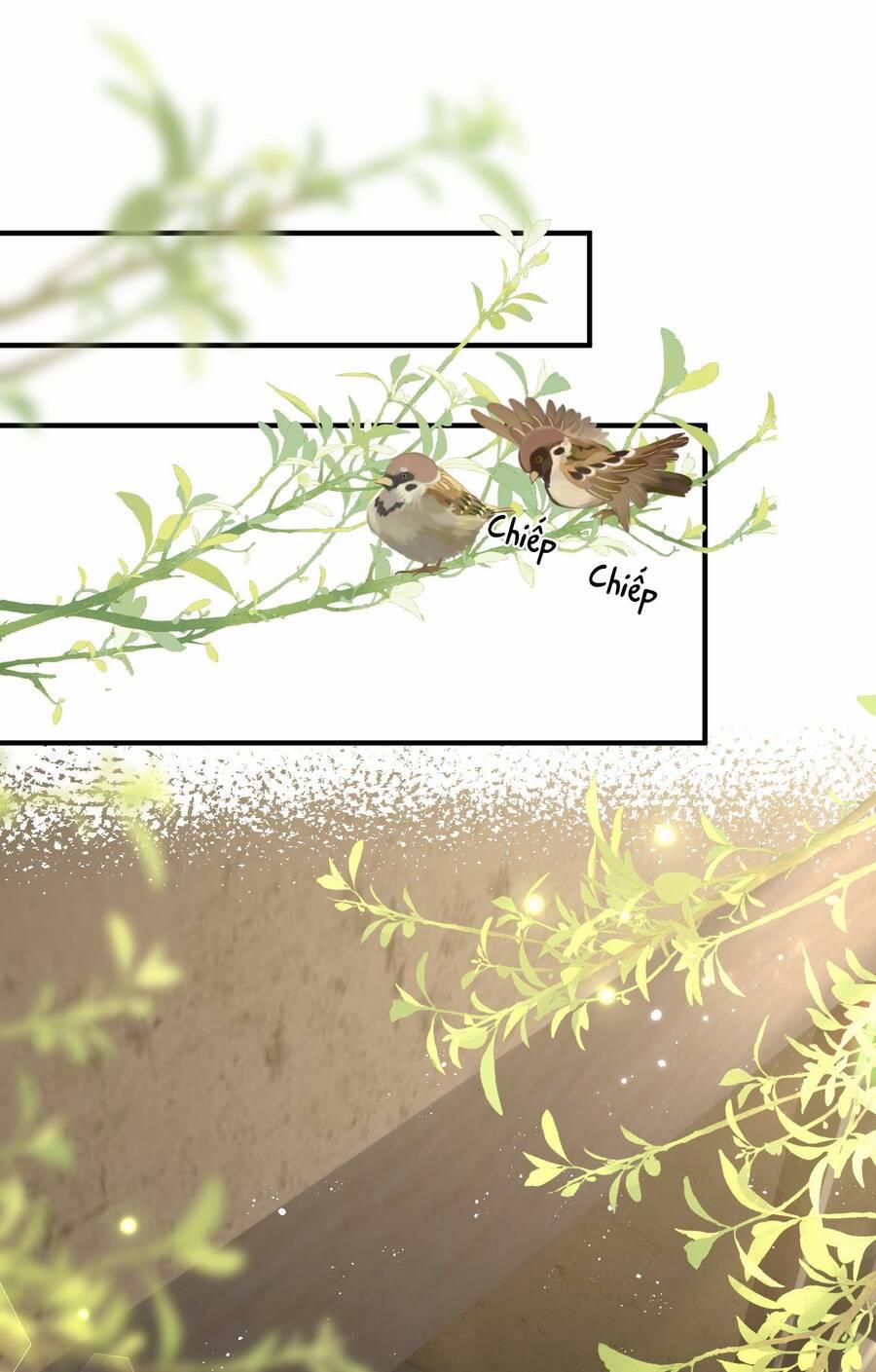 Tiểu Phú Bà Của Đại Tướng Quân 17 trang 2